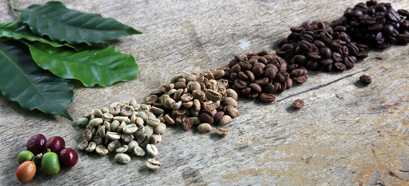 What is specialty coffee?